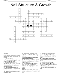 nail structure growth crossword