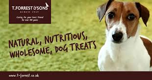 Natural Dog Treats Since 1937 - T. Forrest & Sons