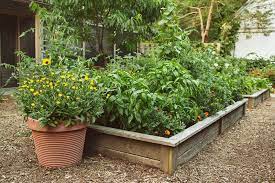 Small Vegetable Garden Ideas Tips