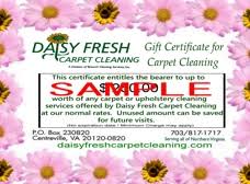 daisy fresh carpet cleaning