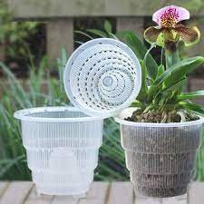 clear orchid pots set w holes clear plastic baskets w great aerification and drainage orchid planter size 12 cm