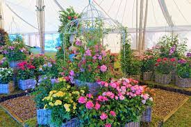 Let us inspire you with our exclusive range of flower bulbs, garden seeds and perennials. Mdlqulafsiue0m