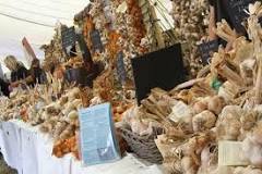 what-is-sinait-garlic-festival
