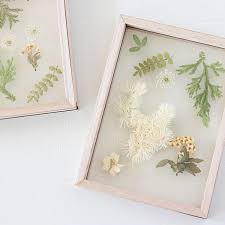diy pressed flower art frame