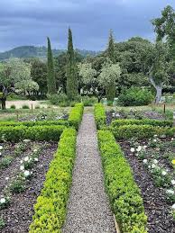Provence Gardener