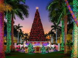 Palm trees with christmas lights pictures. 16 Places To See Christmas Lights In Miami December 2020