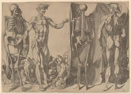 So, explore the human body with various diagram of human body with the description of objects in the body like never before! Anatomy In The Renaissance Essay The Metropolitan Museum Of Art Heilbrunn Timeline Of Art History