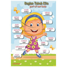 Gambar mewarnai mewarnai anggota tubuh. Gambar Edukasi Anak Mengenal Anggota Tubuh Bilingual Poster Seri Anak Perempuan Tipe 01 Shopee Indonesia
