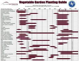 Winter Vegetables Gardening