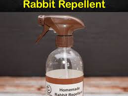 10 Easy To Follow Rabbit Repellent