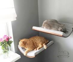 Shelves Cat Window Perch Gifts For Pets