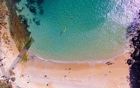 15 top rated beaches in sydney