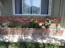 plant in narrow long brick planter