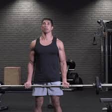 20 Best Biceps Exercises For Mens Arm Workouts