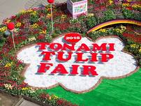Tonami Tulip Fair