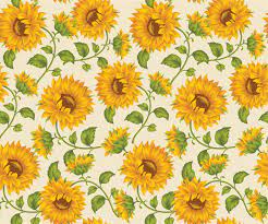 300 sunflower background s