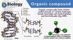 organic compound definition and
