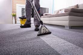 top rated carpet cleaning service near