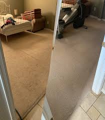 home rino carpet cleaning
