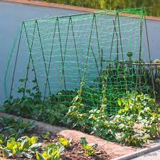 garden green trellis netting support