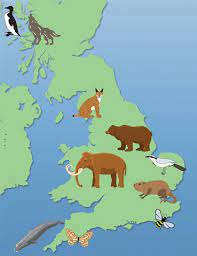 Nearly 20,000 species of plants and animals are at a high risk of extinction and if trends continue, earth could see another mass extinction event within a few centuries. Mammoths Huge Bears And 6kg Rats Can You Believe These Exotic Animals Once Roamed The Uk
