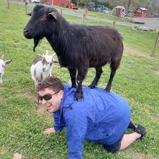 the benefits of goat yoga erick s