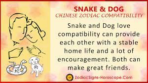 dog chinese zodiac compatibility