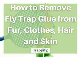 how to remove fly trap glue from fur
