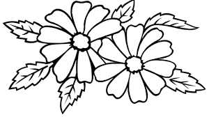 flower drawings free colaboratory