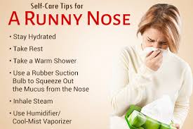 how to stop a runny nose home remes