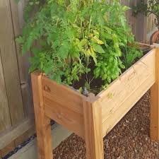 Waterups Wicking Bed