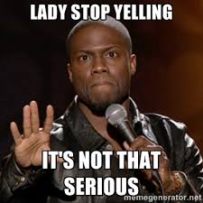 LADY STOP YELLING IT&#39;S NOT THAT SERIOUS - Kevin Hart | Meme Generator via Relatably.com