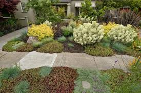 Herb Ground Cover Easy Mulch