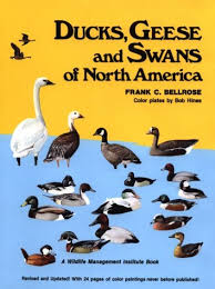 Ducks Geese Swans Of North America Frank Chapman Bellrose