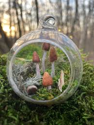 tiny mushroom moss garden another