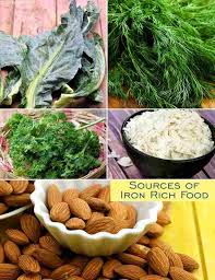 35 Vegetarian Iron Rich Food Iron Veg Indian Food List