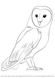 Outline Of Owls Drawings Rome Fontanacountryinn Com