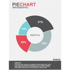 Pie Chart 04
