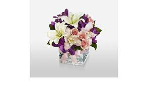 Send flowers california from floom, we have a wide variety of only the best flowers and florists in the area, with our partnering california florists. Amazon Com Same Day Flower Delivery Birthday Flowers Wedding Flowers Cheap Flowers International Flower Online Flowers Send Flowers Aniversary Flowersfleur Vogue Flower Country Flowers Delivery Garden Outdoor