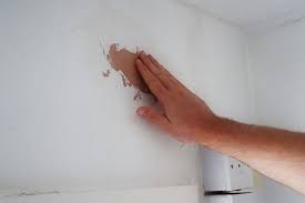 Repair Ling Paint On Plaster Walls