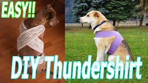 EASY! How to DIY THUNDERSHIRT (4th of July WEEKEND) Fireworks Dogs Cats  Keep Pets Safe!! - YouTube
