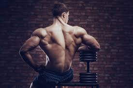You can click the links in the image, or the links below the image to find out more information on any muscle group. How To Train Your Back Muscles Exercises Workout Strengthlog