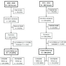 Flow Chart Of Study Population A Infantile Tay Sachs