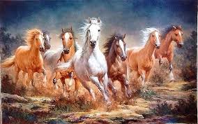 herd horses hd wallpaper peakpx