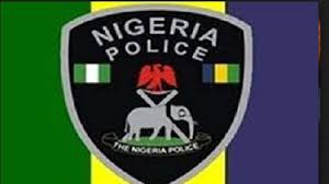Image result for Police arrest alleged serial rapists in Imo