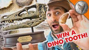 dinosaur trere will you win