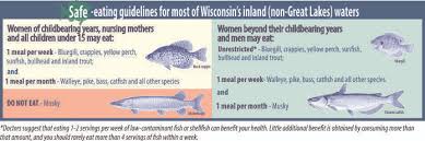 Eat Your Catch Healthy Choices Wisconsin Dnr