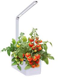 Mindful Design Hydroponic Desktop Herb Garden W Multispectrum Led Growing Lamp For Sale Online