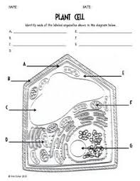 The answer key to the cell coloring worksheet is available at teachers pay teachers. Lc 1378 Labeled Animal Cell Diagram Black White Wiring Diagram
