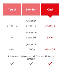 Netflix Türkiye fiyatlarına zam |
